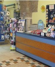 Gallery Cliente