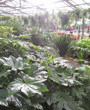 Serres Du Mas Reboul image 6