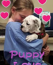 Parkwood Animal Hospital & Boarding image 15