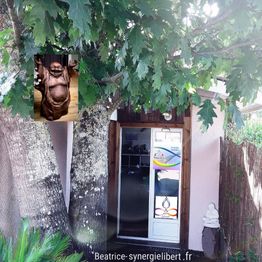 Béatrice Perez SynergieLiber t..