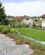 Burri & Achermann Gartenbau AG Bild 2