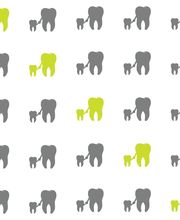 dr. med. dent. Merlo Paola Bild 1