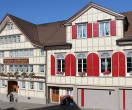 Alder Malermeister AG Bild 14