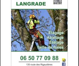 Angelo Langrade image 4