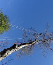 L'Art Boricole image 9