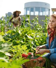 Naturdachwelten GmbH Bild 5
