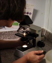 Husson Christian image 2