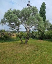 THILL SEBASTIEN image 1