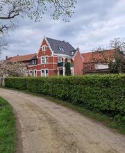 Dach-Bau GmbH Doberlug-Kirchhain Bild 11