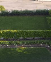 IdealFlora di Davide Gagliardini Bild 13