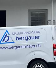 Bergauer Malerhandwerk Bild 1