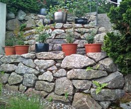 Braun Gartenbau AG Bild 9