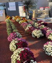 Bricomarché Avermes image 3