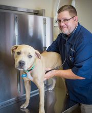 Skinner Animal Clinic image 2