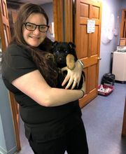 Country Hills Veterinary Hospital: Greene Mark DVM image 14