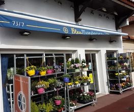 Bleu Mandarine image 11