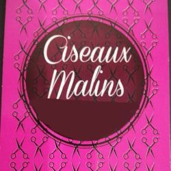 Ciseaux Malins Sarl