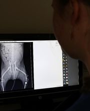 Clinique véterinaire des trois fontaines image 1