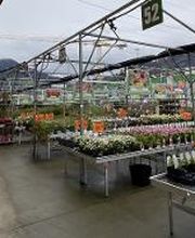 Gartencenter HORNBACH Affoltern am Albis Bild 2