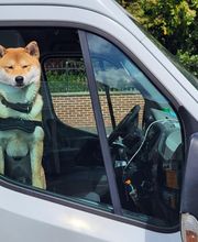 Legrand Chauffage image 2