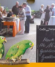 Café am Tiergarten - Kleines Parkhaus Bild 1