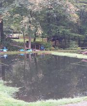 Fischparadies Schlingenthal Bild 5