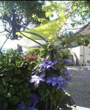 Restaurant Les Oliviers image 12