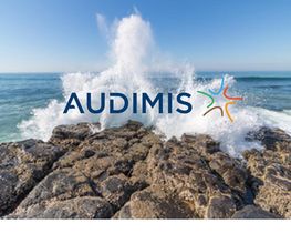 Audimis HDF image 1