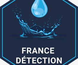 France detection image 1