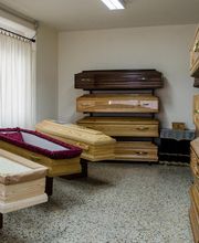 Gallery Professionale