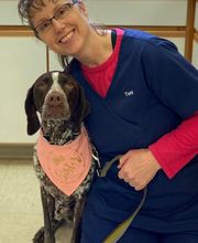 Heartland Animal Hospital image 11