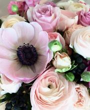 Guyard Benoît image 11