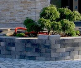 Paves 67 image 3