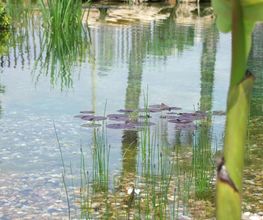 Eurowaterland image 9