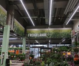Gartencenter HORNBACH Sirnach Bild 1
