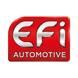 EFI Automotive