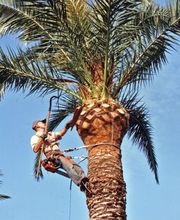 SARGIOTTO Didier & Fils image 5