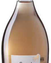 Ciausoiu Vinothek Bild 9