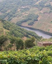 Virxen Dos Remedios imagen 9