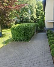 Ch-Clean - Gebäudereinigung & Objektservice Bild 12