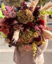 Jardin de Laura image 2