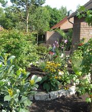 Der Grüne Baum Bild 6