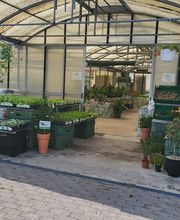 GIARDINI DOS SANTOS CANIÇO Bild 2