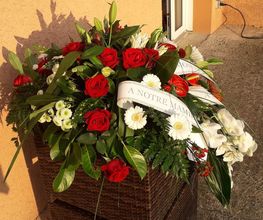 Flowers image 7