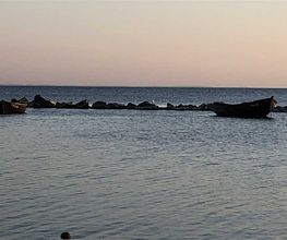 Super Hundeurlaub Bild 14