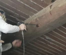 TBPH image 18