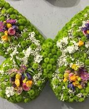 Blumen Kaiser Bild 13