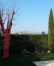 EA Cap Vert image 9
