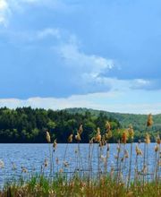 Twin Pines on Trout Lake image 12