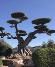 Créanature image 13